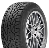 Riken Snow 205/60 R16 92 H