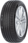 255/45R20 105 Y XL, Elect