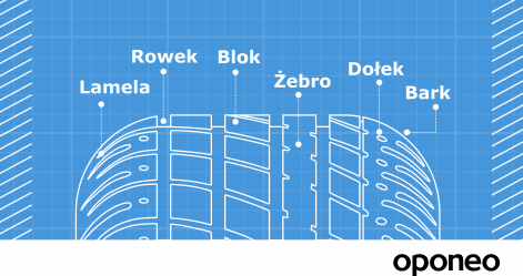 schemat budowy bieżnika