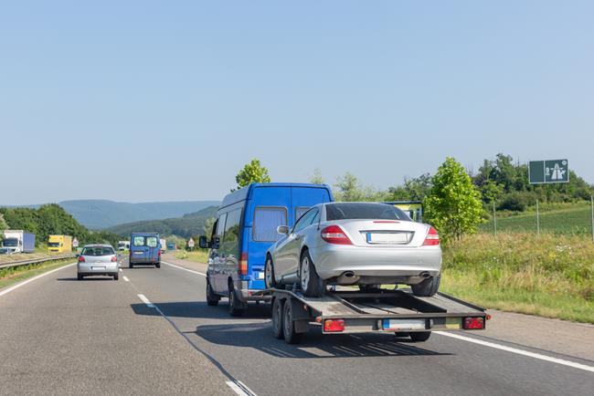 auto na lawecie