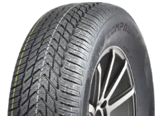 Compasal WinterBlazer HP 205/55R16 91 H