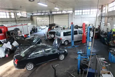Auto-Tom